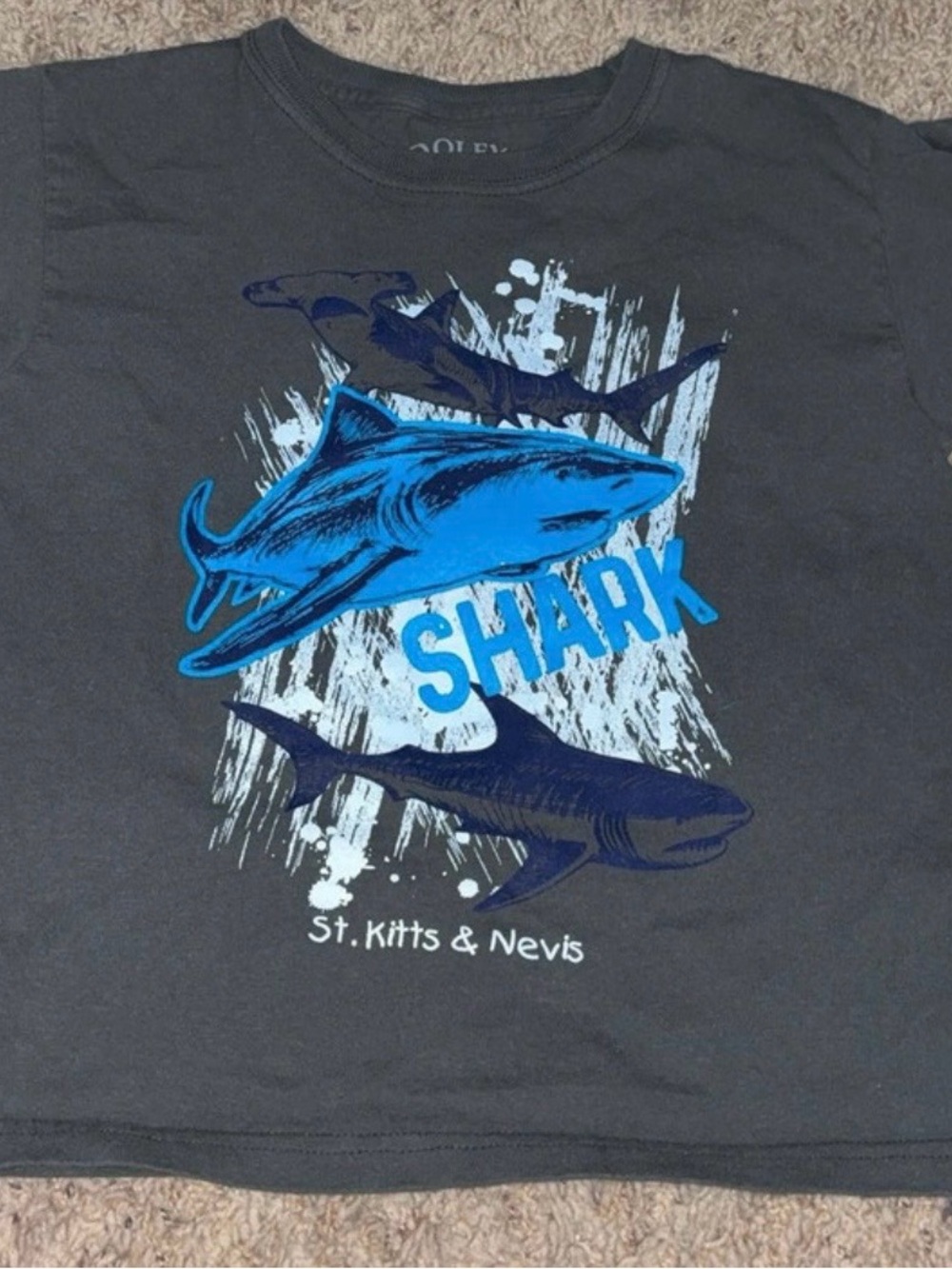 Kids Shark Graphic Tee - Charcoal with Blue Print